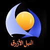 Blue Nile logo
