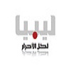 Libya Channel logo